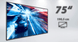 Philips Q-Line Display 189 cm (75") - Entry Digital Signage / 75BDL3511Q/00 - XIGNAGE.SHOP - Smart Digital Media Systems & Digital Signage Solutions